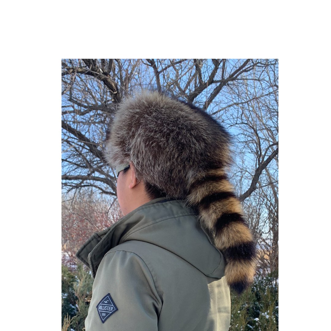 Fur Aviator Hat for Women, Real Fur Ushanka, Trapper Hat, Bomber Cap,  Genuine Brown Leather, Real Recycled Raccoon Fur, Antoine Model CA35 -   Canada