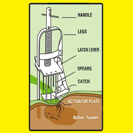 Victor Spear Type Mole Trap