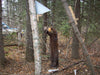 Donahue Trap and Bait Holder