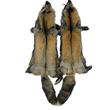  4X-3X Ranch Cross Fox Pelt - Dark Phase