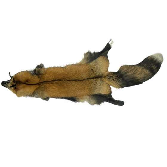 4XL - 3XL Ranch Cross Fox - Red Phase
