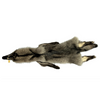 Black Wolf Pelt - 2XL Select - Complete