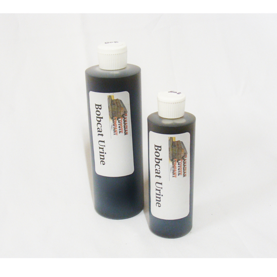 Bobcat Urine – Premium Quality Urine: Only Buy the Best