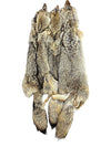 Coyote Pelts - Dressed- High Quality