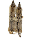 Coyote Pelts - Dressed- High Quality