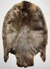 Pale Western Canadian Beaver Pelts