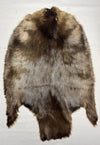 Pale Western Canadian Beaver Pelts