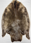 Pale Western Canadian Beaver Pelts