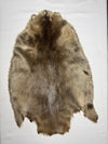 Pale Western Canadian Beaver Pelts