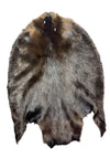 XL Dark Canadian Beaver Pelt - Good Quality