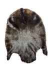 XL Dark Canadian Beaver Pelt - Good Quality