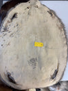 Western Canadian Beaver Pelt- Damaged