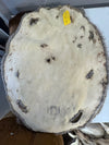 Western Canadian Beaver Pelt- Damaged