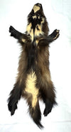 2XL Wolverine Pelt #124