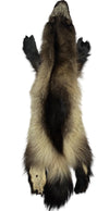 4XL Wolverine Pelt #101