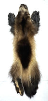 3XL Wolverine Pelt #222