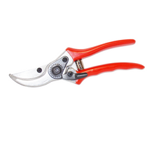  Pruning Shear – Taiwanese