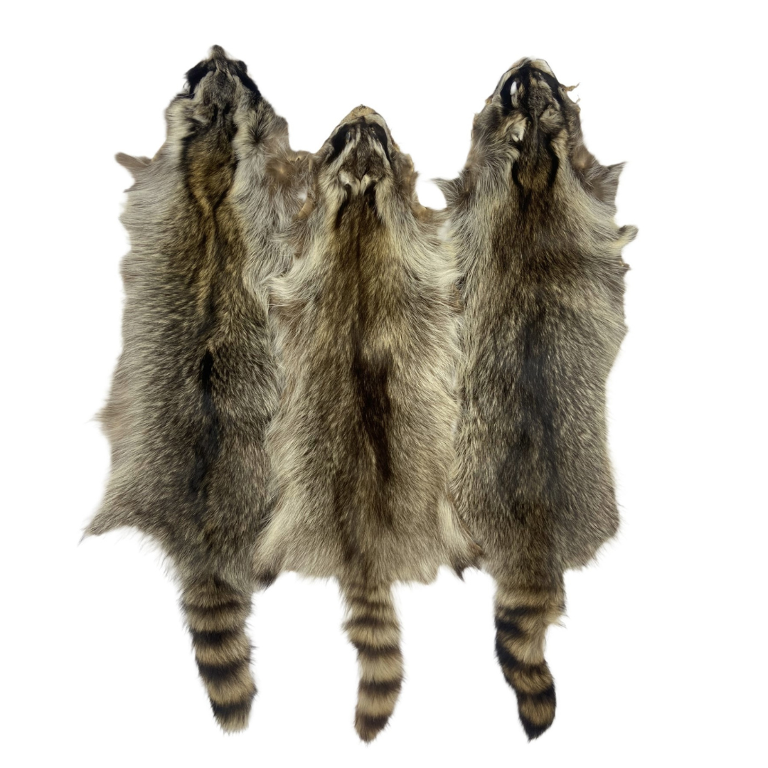 Raccoon Pelts 3X-2X - Bright – The Canadian Coyote Company Ltd.