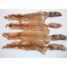  Red Fox - Tanned Pelt