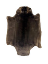 Sheared Beaver Pelt