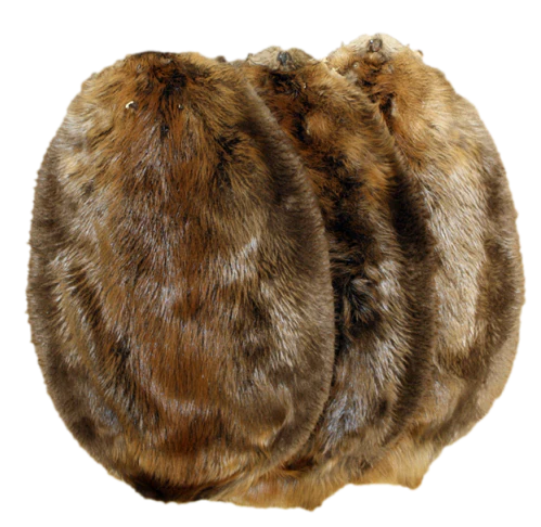 Western Canadian Beaver Fur- Dressed/Tanned