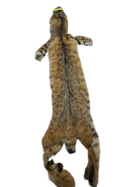 Bobcat XL Western Heavy XL - Skin #B