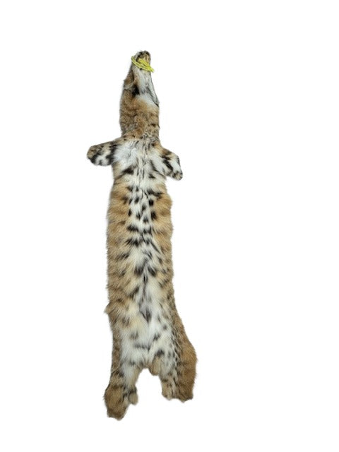 Bobcat XL Western Heavy XL - Skin #C