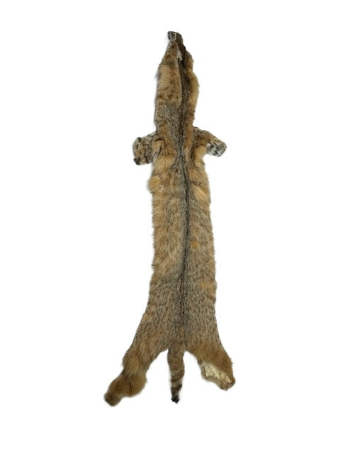 Bobcat XL Western Heavy XL - Skin #C