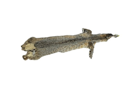 Bobcat XL Western Heavy XL - Skin #D