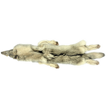  Wolf Pelt - 3XL - 2XL Select Pale - Complete