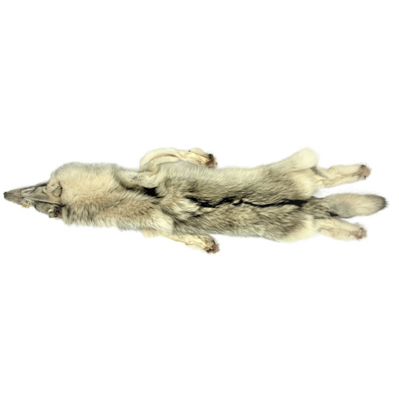 Wolf Pelt - 3XL - 2XL Select Pale - Complete