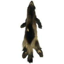  Wolverine Pelt - Slight Damaged