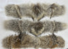 Coyote Fur Parka Ruffs/Parka Strips