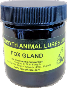  Forsyth Fox Gland