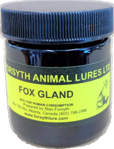 Forsyth Fox Gland