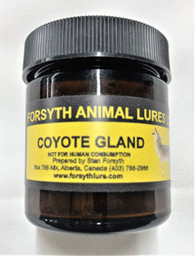  Coyote Gland Lure - Forsyth Lure