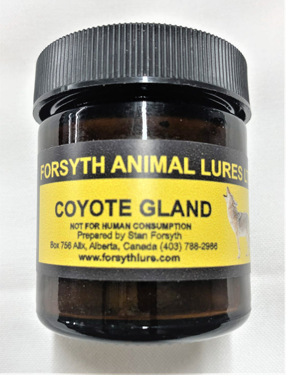 Coyote Gland Lure - Forsyth Lure – The Canadian Coyote Company Ltd.