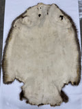 Beaver Pelt - XL Brown Select