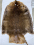 Beaver Pelt - XL Brown Select